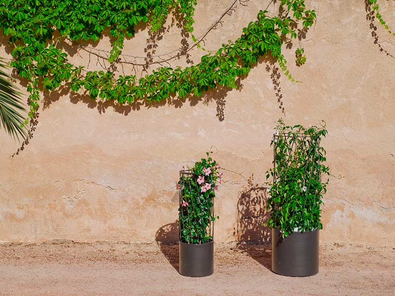 Cómo decorar un jardín pequeño