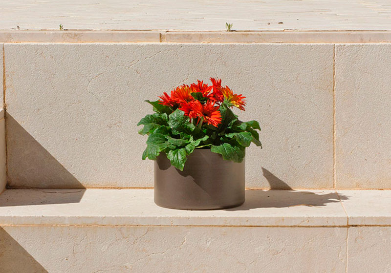 Cómo decorar una terraza